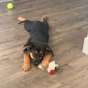 Meet your Posher, Andres